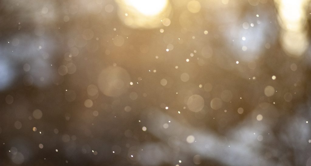 winter image